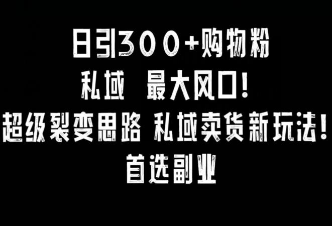 日引300+购物粉，超级裂变思路，私域卖货新玩法，小红书首选副业【揭秘】-资源宝库