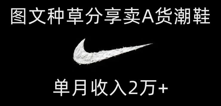 靠图文种草分享卖A货潮鞋，每天一小时，单月收入2万+【揭秘】-资源宝库