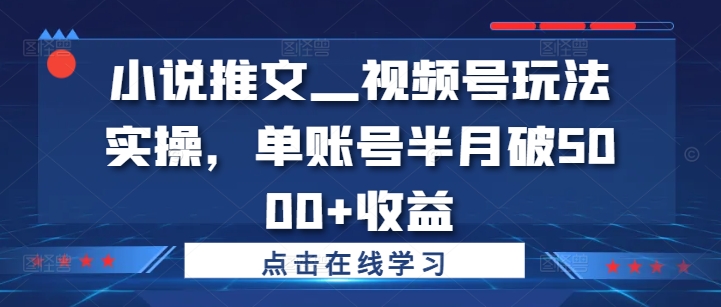 小说推文—视频号玩法实操，单账号半月破5000+收益-资源宝库
