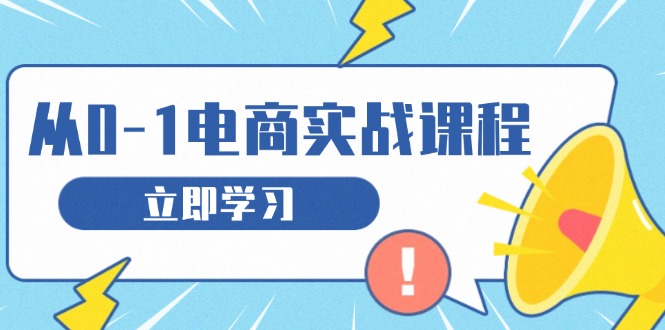 从零做电商实战课程，教你如何获取访客、选品布局，搭建基础运营团队-资源宝库