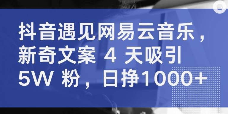 抖音遇见网易云音乐，新奇文案 4 天吸引 5W 粉，日挣1000+【揭秘】-资源宝库