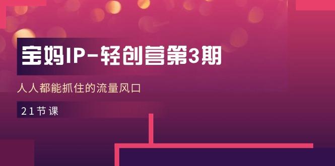 宝妈IP-轻创营第3期，人人都能抓住的流量风口(21节课-资源宝库