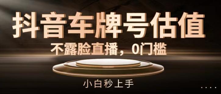 抖音车牌号估值，不露脸直播，0门槛，小白秒上手【揭秘】-资源宝库