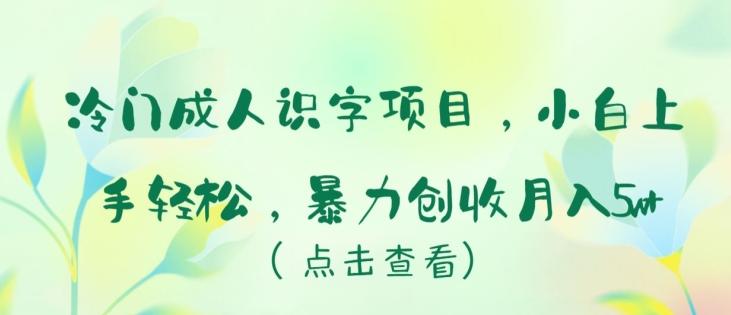 冷门成人识字项目，小白上手轻松，暴力创收月入5w+【揭秘】-资源宝库