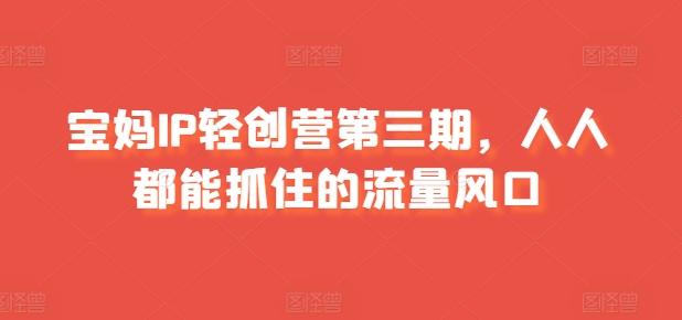 宝妈IP轻创营第三期,人人都能抓住的流量风口