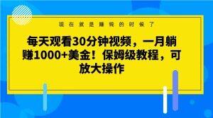 每天观看30分钟视频，一月躺赚1000+美金！保姆级教程，可放大操作【揭秘】-资源宝库