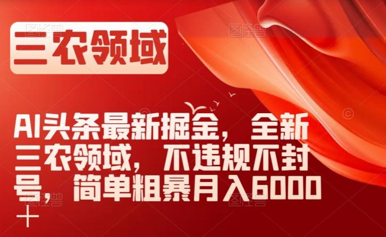 AI头条最新掘金，全新三农领域，不违规不封号，简单粗暴月入6000＋【揭秘】-资源宝库