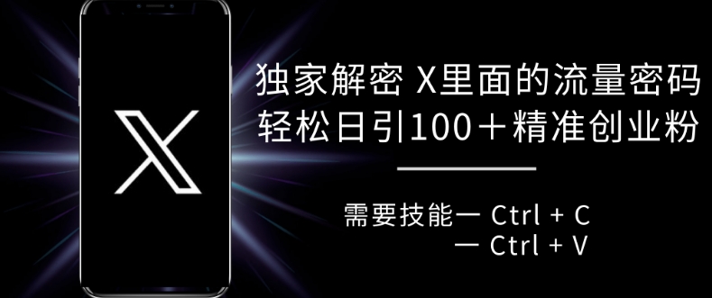 独家解密 X 里面的流量密码，复制粘贴轻松日引100+-资源宝库