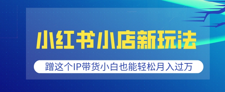 小红书小店新玩法，蹭这个IP带货，小白也能轻松月入过W【揭秘】-资源宝库
