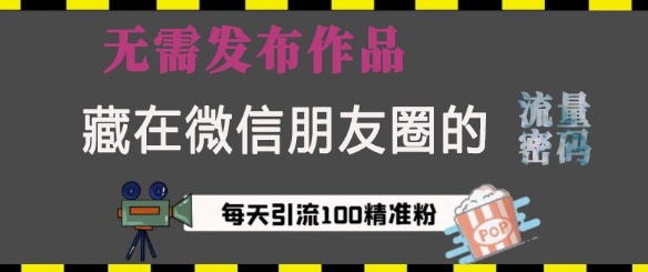 藏在微信朋友圈的流量密码，无需发布作品，单日引流100+精准创业粉【揭秘】-资源宝库
