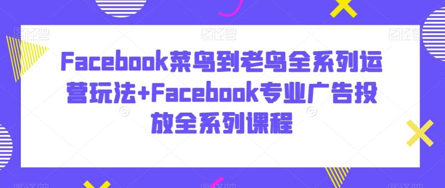 Facebook菜鸟到老鸟全系列运营玩法+Facebook专业广告投放全系列课程-资源宝库