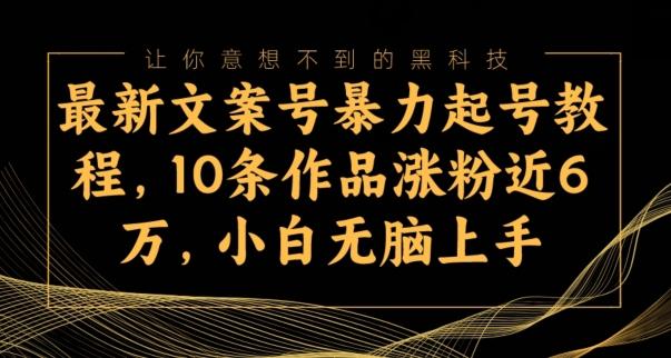 最新文案号暴力起号教程，10条作品涨粉近6万，小白无脑上手-资源宝库