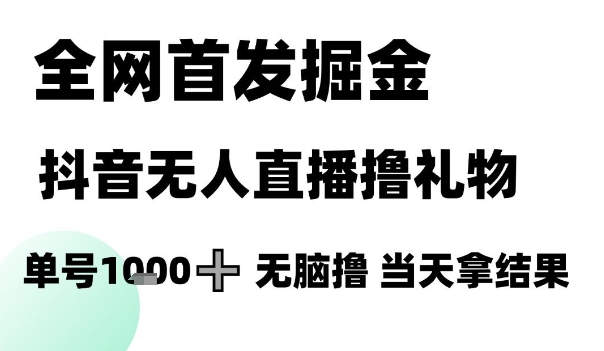 全网首发掘金抖音无人直播撸礼物,单号1k +无脑撸,当天拿结果【揭秘】-资源宝库