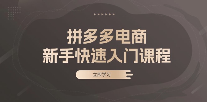 拼多多电商新手快速入门课程：涵盖基础、实战与选款，助力小白轻松上手-资源宝库