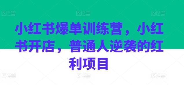 小红书爆单训练营，小红书开店，普通人逆袭的红利项目-资源宝库