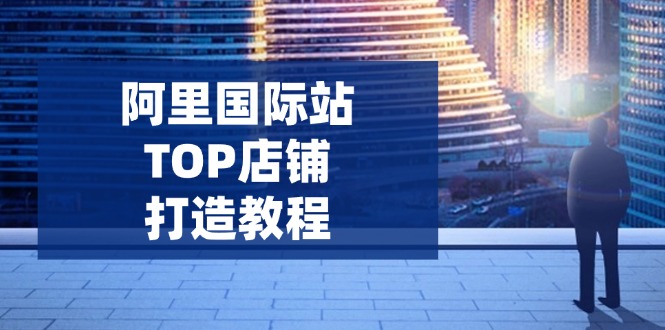 阿里国际站TOP店铺打造教程：涵盖平台到高阶，解决运营难题，提升询盘-资源宝库