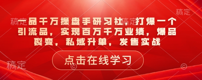 一品千万操盘手研习社，打爆一个引流品，实现百万千万业绩，爆品裂变，私域升单，发售实战-资源宝库