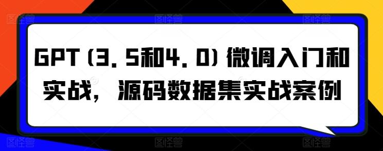 GPT(3.5和4.0)微调入门和实战，源码数据集实战案例-资源宝库