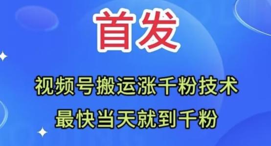全网首发：视频号无脑搬运涨千粉技术，最快当天到千粉【揭秘】-资源宝库