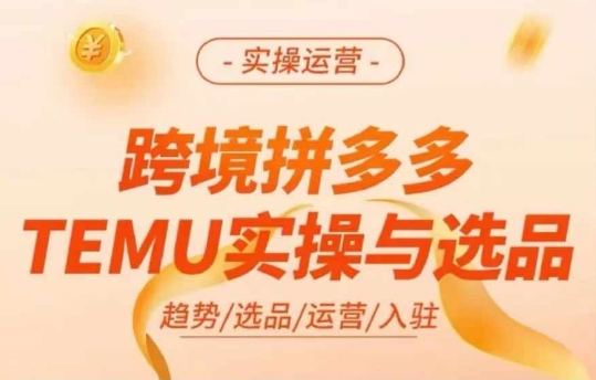 跨境拼多多TEMU实操与选品，多多temu跨境选品运营实操-资源宝库