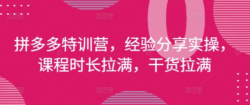 拼多多特训营,经验分享实操,课程时长拉满,干货拉满(更新25年4月)