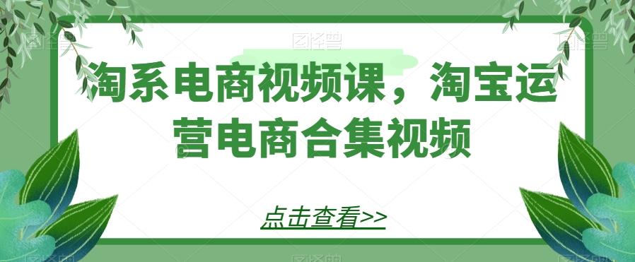 淘系电商视频课，淘宝运营电商合集视频-资源宝库