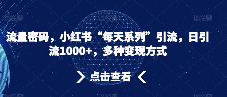 流量密码，小红书“每天系列”引流，日引流1000+，多种变现方式【揭秘】-资源宝库