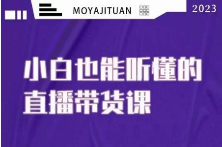 大威本威·能听懂的直播带货课，小白也能听懂，20节完整-资源宝库