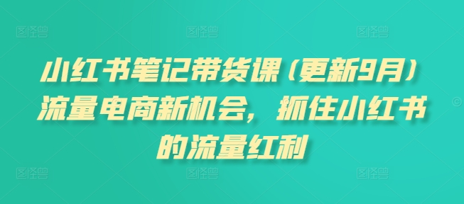 小红书笔记带货课(更新25年3月)流量电商新机会，抓住小红书的流量红利-资源宝库