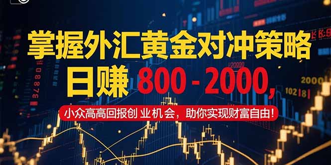 掌握外汇黄金对冲策略，日赚 800 - 2000，小众高回报创业机会，助你实...-资源宝库