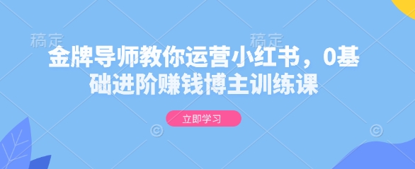 金牌导师教你运营小红书，0基础进阶赚钱博主训练课-资源宝库