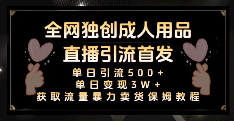 全网独创真人主播+无人直播单日引流500+，橙人用品暴力卖货单日变现3W+保姆似教学2.0【揭秘】-资源宝库