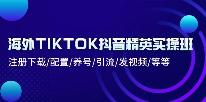 海外TIKTOK抖音精英实操班：注册下载/配置/养号/引流/发视频/等等-资源宝库