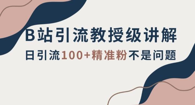 B站引流教授级讲解，细节满满，日引流100+精准粉不是问题【揭秘】-资源宝库