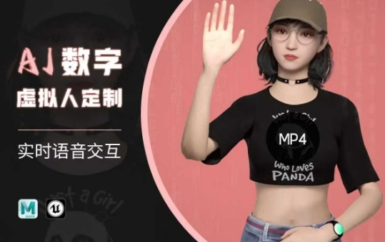 Ai数字人虚拟(智能体)实时语音交互特训营，​自行定制超写实角色AI数字人交互技术-资源宝库