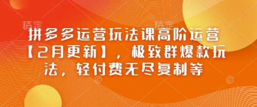 拼多多运营玩法课高阶运营【2月更新】,极致群爆款玩法,轻付费无尽复制等