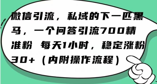 怎么搞精准创业粉？微信新赛道，每天一小时，利用Ai一个问答日引100精准粉-资源宝库
