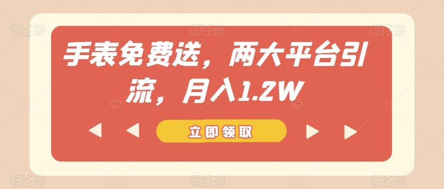 手表免费送，两大平台引流，月入1.2W【揭秘】-资源宝库