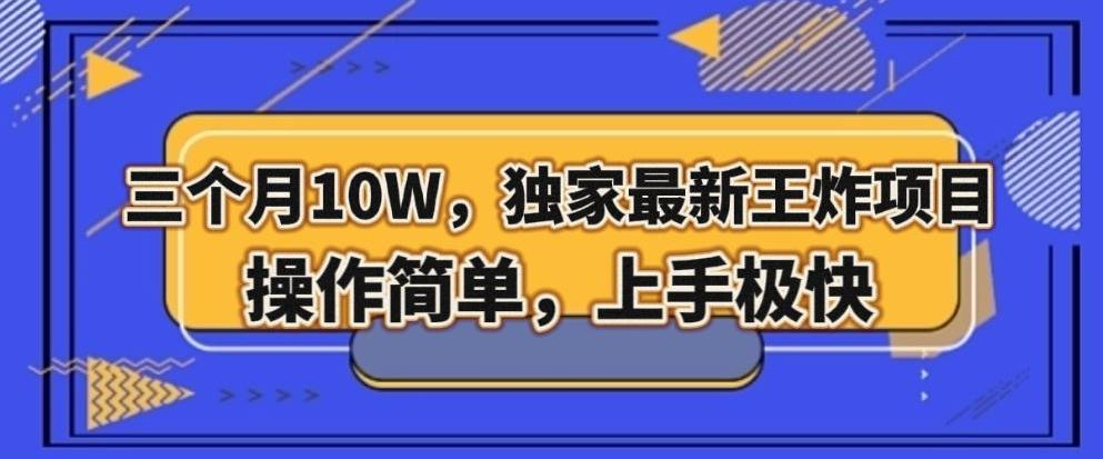 三个月10W，独家最新王炸项目！操作简单，上手极快【揭秘】-资源宝库
