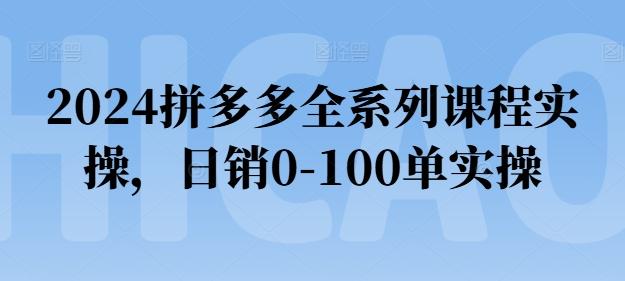 2024拼多多全系列课程实操，日销0-100单实操【必看】-资源宝库