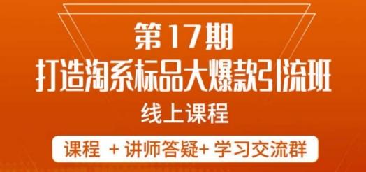 南掌柜-第17期打造淘系标品大爆款，5天线上课-资源宝库