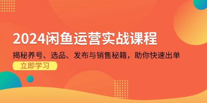 2024闲鱼运营实战课程：揭秘养号、选品、发布与销售秘籍，助你快速出单-资源宝库