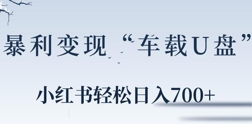 小红书“车载U盘”暴利引流，日入700+-资源宝库