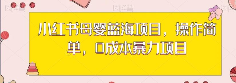 小红书母婴蓝海项目，操作简单，0成本暴力项目-资源宝库