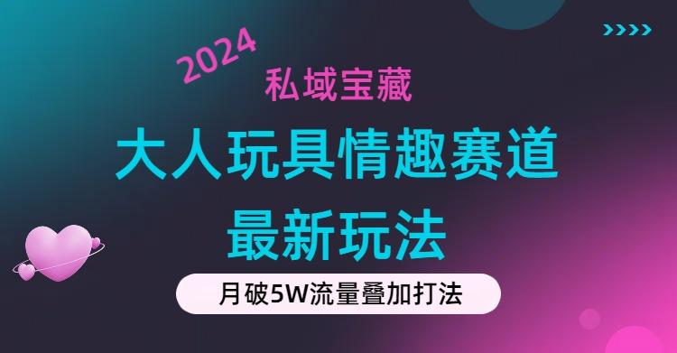 私域宝藏：大人玩具情趣赛道合规新玩法，零投入，私域超高流量成单率高-资源宝库