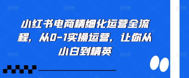 小红书电商精细化运营全流程，从0-1实操运营，让你从小白到精英-资源宝库