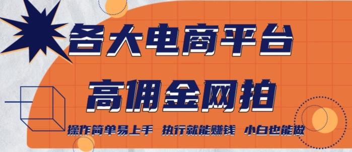 各大电商平台高佣金网拍，操作简单易上手，执行就能赚钱，小白也能做-资源宝库
