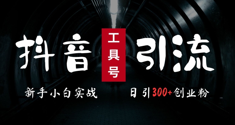 2024最新抖音工具号引流玩法,高效日引300+创业粉,当天变现5k,小白也可成为实战高手