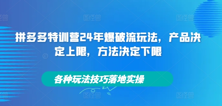 拼多多特训营24年爆破流玩法，产品决定上限，方法决定下限，各种玩法技巧落地实操-资源宝库