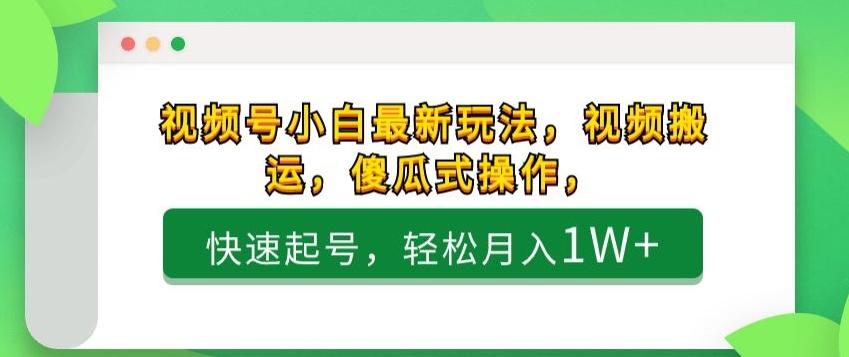 视频号小白最新玩法，视频搬运，傻瓜式操作，快速起号，轻松月入1W+-资源宝库